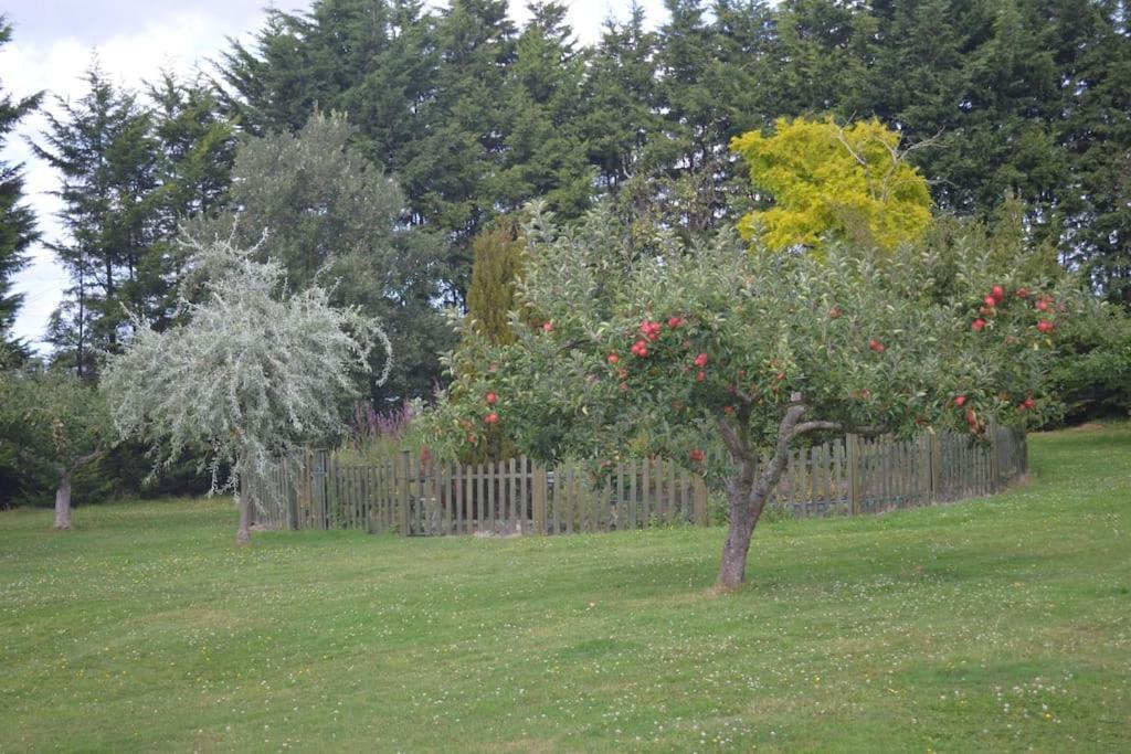 The Willow Studio - Peaceful Retreat Near Whitstable Seaside Faversham Exterior photo